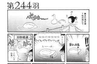 第２４４羽 표지