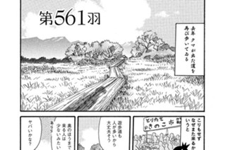 第５６１羽 표지