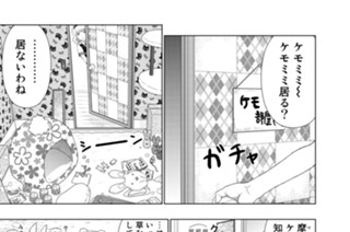 第３９．５話 霞ちゃんとおかしくなったケモミミ 표지