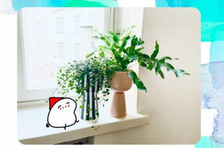 第３３回 표지