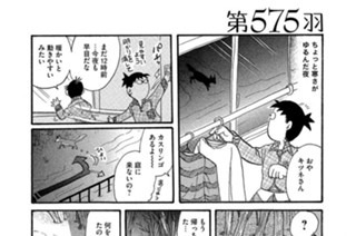 第５７５羽 표지