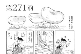 第２７１羽 표지