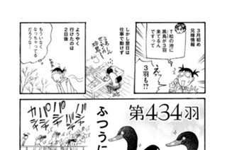 第４３４羽 표지