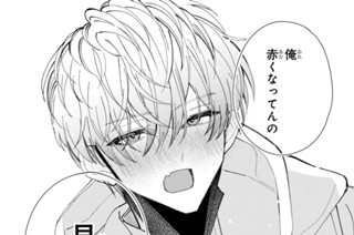 エピソード１３（４） 표지