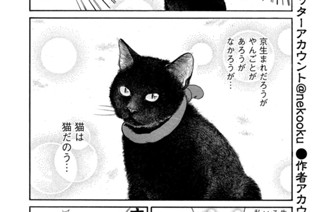 その４１ 표지