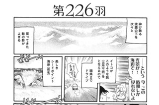 第２２６羽 표지