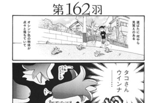 第１６２羽 표지