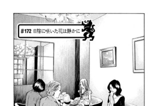 ＃１７２ 日陰に咲いた花は静かに 표지