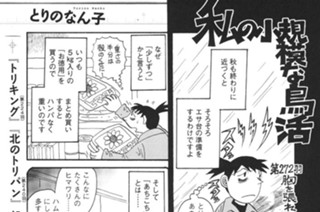 第２７２羽 표지