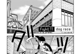 FIGHT.11 ｄｏｇ ｒａｃｅ 표지