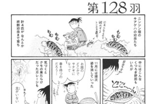 第１２８羽 표지