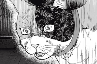 ＃７３ 決する犬 표지