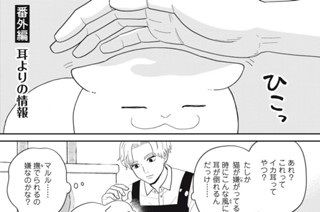 81화 番外編39 耳よりの情報 표지