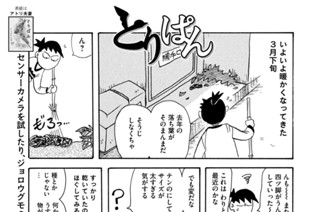 第７７４羽 표지