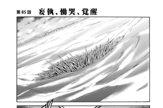 第８５話 妄執、慟哭、覚醒 표지