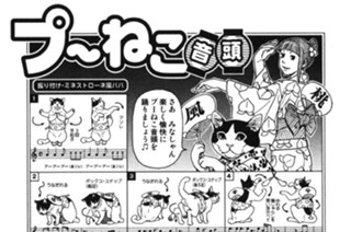 プ〜ねこ（２１） 표지