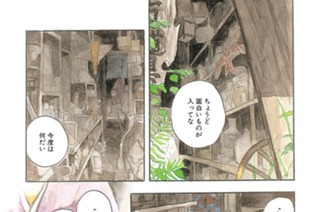 山抱く衣 표지