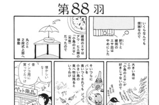 第８８羽 표지