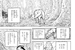 ＃１２ 集める者、奪う者 표지
