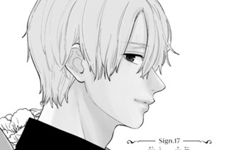 Ｓｉｇｎ．１７ 桜志の世界 표지