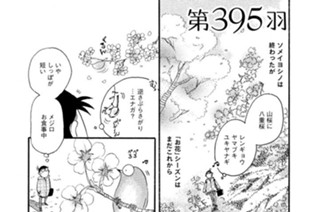 第３９５羽 표지
