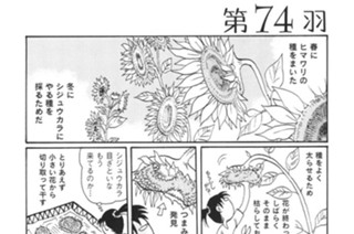第７４羽 표지