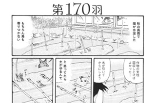 第１７０羽 표지
