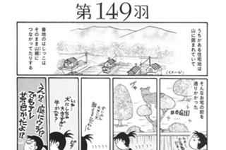第１４９羽 표지