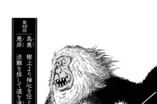 観音院の章 第48回 烏巣 樹上より禅心を伝え 恵岸 法難を排して道を浄む 표지