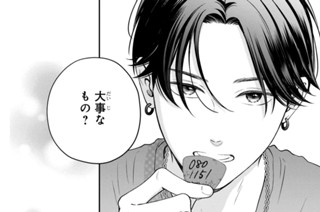 ＶＯＬ．００５ とりけす（３） 표지