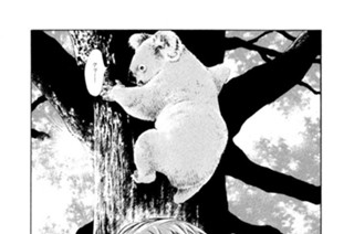 ＃２１９ 目映（まばゆ）き微笑みの陽光と褐色の重き影 표지