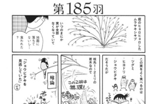 第１８５羽 표지