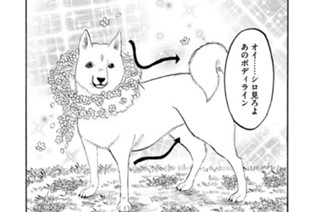 第１６６話 花咲犬（はなさかいぬ） 표지
