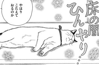 その２２７ 표지