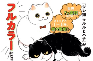 フルカラー版単行本発売のお知らせ 표지