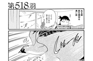 第５１８羽 표지