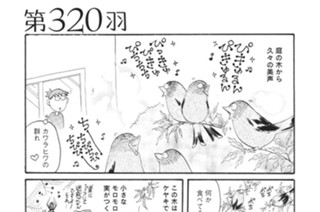 第３２０羽 표지