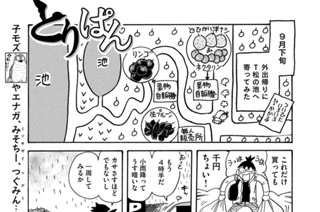 第７４９羽 표지