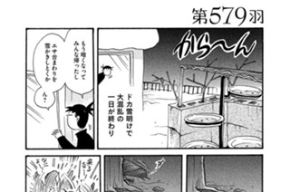 第５７９羽 표지