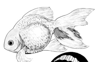 涼やかなだしで残暑払いを！！ 표지