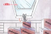 第１話 チー、出会う 표지