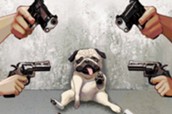＃１ 犬との遭遇 표지
