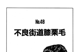 不良街道膝栗毛 표지