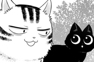 第３話 キョウヨウとクリームシチュー 표지