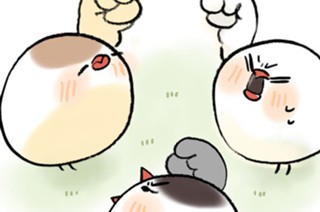 第６話 표지