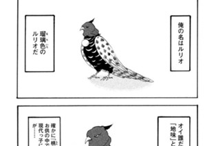第５０話 ルリオの話 표지