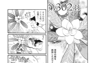 第３０２羽 표지