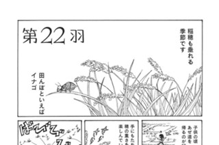 第２２羽 표지