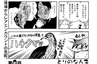 第９０３羽 표지