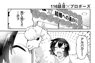 １１６話 目 プロポーズ 표지